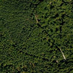 Satellite imagery of Nollberg, DE