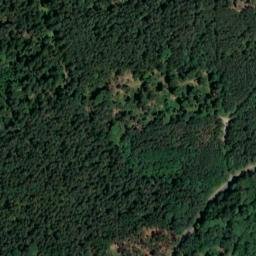 Satellite imagery of Tannenberg, DE