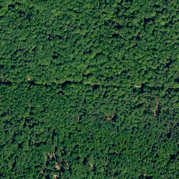 Satellite imagery of Steinachsberg, DE