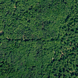 Satellite imagery of Steinachsberg, DE