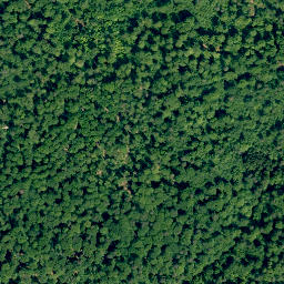 Satellite imagery of Steinachsberg, DE