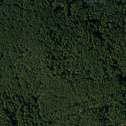 Satellite imagery of Steinbühl, DE