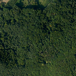 Satellite imagery of Ringwall Altes Schloss, DE