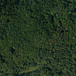 Satellite imagery of Ringwall Altes Schloss, DE