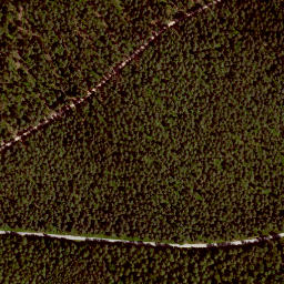 Satellite imagery of Rehbühl, DE