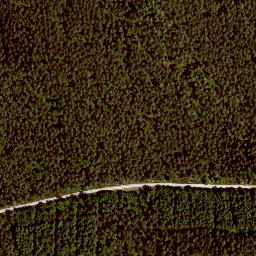 Satellite imagery of Rehbühl, DE