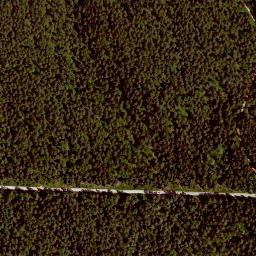 Satellite imagery of Rehbühl, DE