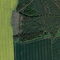 Satellite imagery of (Slavický les) [Černošín-Víchov], CZ