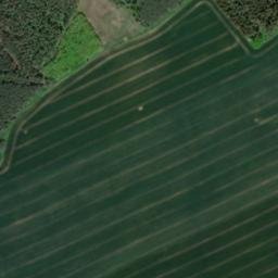 Satellite imagery of (Slavický les) [Černošín-Víchov], CZ