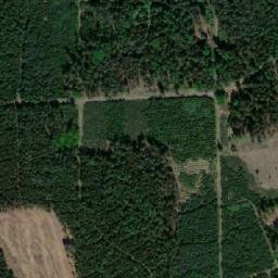 Satellite imagery of Skála [Čejkovice u Zbýšova], CZ