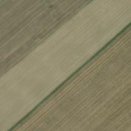 Satellite imagery of Haryška, CZ