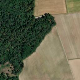 Satellite imagery of Tannenberg, DE