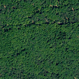 Satellite imagery of Steinachsberg, DE