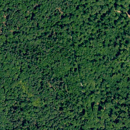 Satellite imagery of Steinachsberg, DE