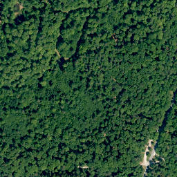 Satellite imagery of Steinachsberg, DE
