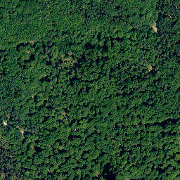 Satellite imagery of Sommerankenberg, DE