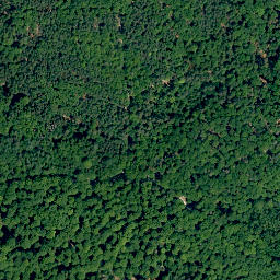 Satellite imagery of Sommerankenberg, DE