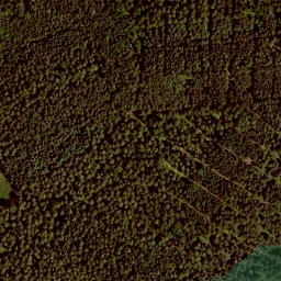 Satellite imagery of Rehbühl, DE