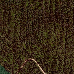 Satellite imagery of Rehbühl, DE