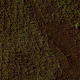 Satellite imagery of Rehbühl, DE