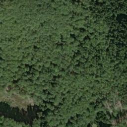 Satellite imagery of Bučina [Obora u Tachova], CZ