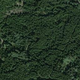 Satellite imagery of Bučina [Obora u Tachova], CZ
