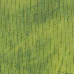 Satellite imagery of [Černošín-Víchov] HG, CZ