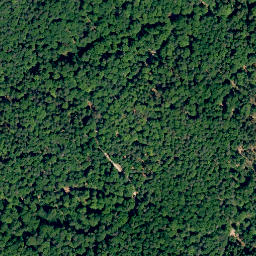 Satellite imagery of Sommerankenberg, DE