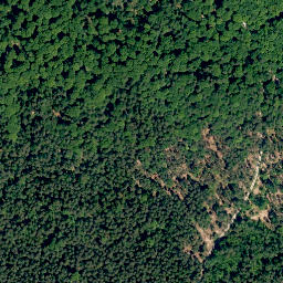 Satellite imagery of Sommerankenberg, DE