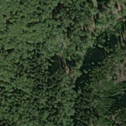 Satellite imagery of Bučina [Obora u Tachova], CZ