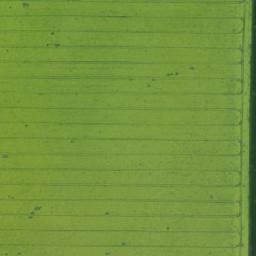 Satellite imagery of Zlaté návrší N [Dolní Dlouhá Loučka], CZ