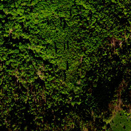 Satellite imagery of survey_point, PL