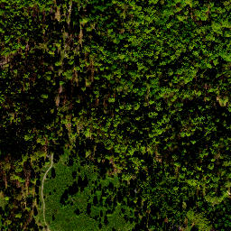 Satellite imagery of survey_point, PL