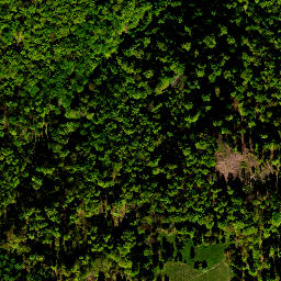 Satellite imagery of survey_point, PL