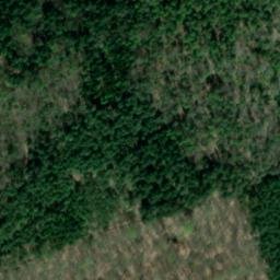 Satellite imagery of Steigenberg, DE