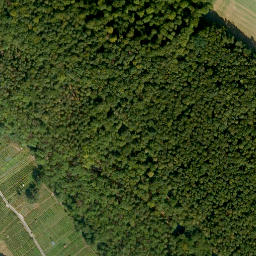 Satellite imagery of Hohberg, DE