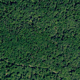 Satellite imagery of Sommerankenberg, DE