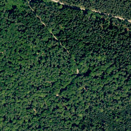 Satellite imagery of Sommerankenberg, DE