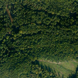 Satellite imagery of Zuckerhut, DE