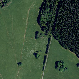 Satellite imagery of (U Pavlovy hutě) [Obora u Tachova], CZ