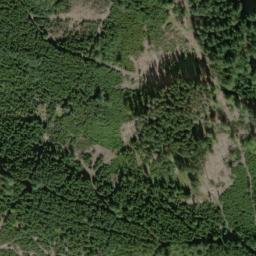 Satellite imagery of Pupek [Obora u Tachova], CZ