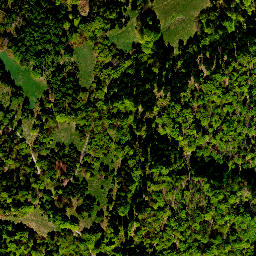Satellite imagery of survey_point, PL