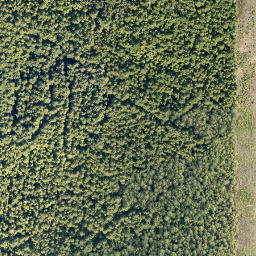 Satellite imagery of cairn, CA