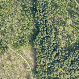 Satellite imagery of cairn, CA
