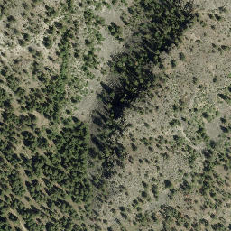 Satellite imagery of Pincushion Mountain, CA