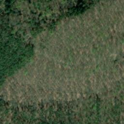 Satellite imagery of Steigenberg, DE
