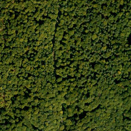 Satellite imagery of Fechenberg, DE