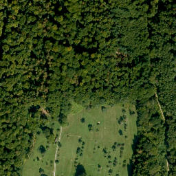 Satellite imagery of Fechenberg, DE