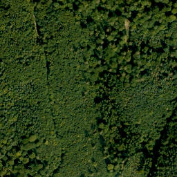 Satellite imagery of Heidenberg, DE