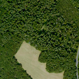 Satellite imagery of Bolsteinberg, DE